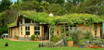 maison intégrée au paysage avec toit végétale